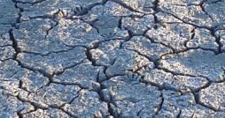 Cracked Earth