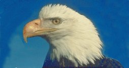 Eagle